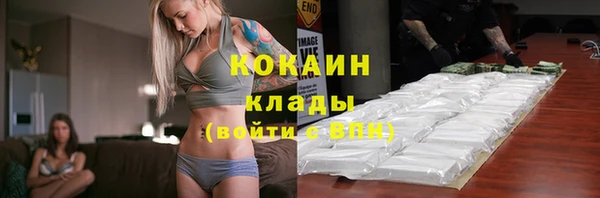 СК Новосибирск