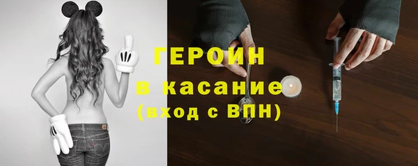 каннабис Ессентукская