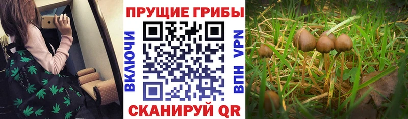 Псилоцибиновые грибы мухоморы  Купить  Ревда 