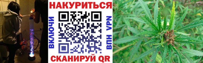 Купить где  Ревда  Конопля сатива 